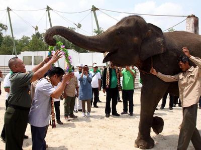 Hadiri Festival Way Kambas, Cak Imin Dapat Kalung Bunga dari Gajah