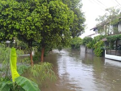 Usai Diguyur Hujan Deras, Ini Penampakan Banjir di Wilayah Jakarta
