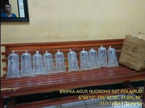 Satpolair Sukabumi Bekuk 2 Pelaku Penyelundupan Benih Lobster Satpolair Sukabumi Bekuk 2 Pelaku Penyelundupan Benih Lobster