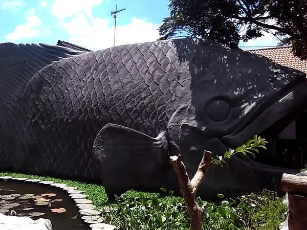 Wisata Kuliner dan Edukasi di Kampung Gurami