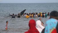 Foto: Warga Ramai-ramai Selamatkan 10 Ekor Ikan Paus yang Terdampar