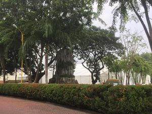 Pemkot Medan Menata Kota Jelang Ngunduh Mantu Kahiyang-Bobby