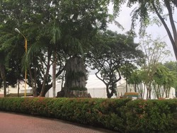 Pemkot Medan Menata Kota Jelang Ngunduh Mantu Kahiyang-Bobby