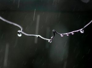 Jakarta Diguyur Hujan Deras dan Angin Kencang