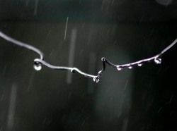 Jakarta Diguyur Hujan Deras dan Angin Kencang