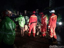 Pohon Beringin yang Tumbang di Kompleks Setneg Baru Masih Dievakuasi