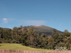 Butuh yang Segar-segar? Kaki Gunung Ini Bisa Jadi Obatnya