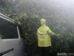 Hujan Deras, Pohon Tumbang di Tanah Kusir dan Kompleks Setneg Baru