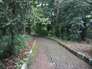 Menyusuri Hutan Kota Srengseng yang akan Menjadi Hutan Wisata