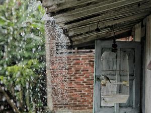 Hujar bukan berarti bagai burung di dalam sangkar