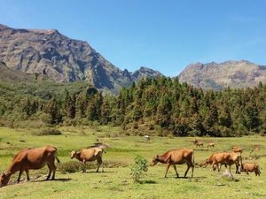 Bukan di Eropa, Lembah Cantik ini Punya Sulsel