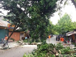 Hujan dan Angin Kencang Masih Berpotensi Terjadi di Banjarnegara