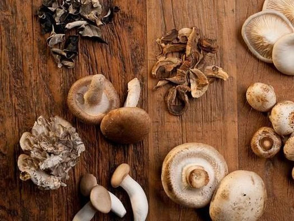 Selain Jamur Shiitake, Ini 9 Jamur yang Enak dan Kaya Nutrisi Selain Jamur Shiitake, Ini 9 Jamur yang Enak dan Kaya Nutrisi