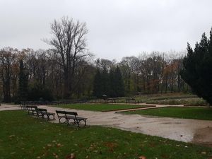 Chopin Kembali Hadir di Tengah Taman Cantik!