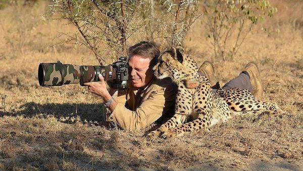 Kocak! Fotografer Alam Liar Dihibur Aksi Hewan Kepo