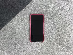 iPhone X Milik Dewi Mati Total, Ini Tanggapan Apple