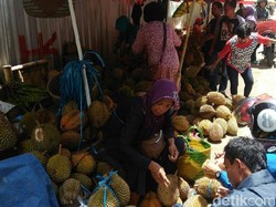 Menikmati Durian Kucing Ngruwel di Purworejo