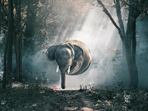 Aditya Aryanto Coba Retouch dengan Eksperimen pada Kulit Hewan