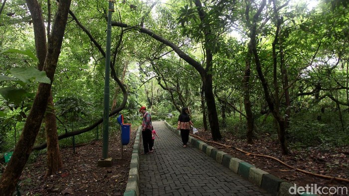 Hutan Kota Srengseng di Jakarta Barat, menjadi alternatif wisata alam bagi warga Jakarta. Terdapat sekitar 4.800 pohon dengan 63 varietas berlainan di hutan ini.