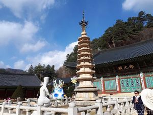 Ini Kuil Woljeongsa, Salah Satu Lokasi Syuting Drama Korea Goblin Ini Kuil Woljeongsa, Salah Satu Lokasi Syuting Drama Korea Goblin