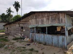 Orang Susah Raih Emas Karate di Belgia, Ayah: Air Mata Saya Menetes