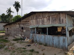 Orang Susah Raih Emas Karate di Belgia, Ayah: Air Mata Saya Menetes