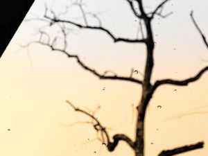 Tetesan air hujan sore-sore di musim penghujan bulan November