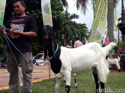 Dua Kali Juara Nasional, Via Vallen Pernah Ditawar Rp 35 Juta