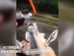 KLHK Minta Pelaku yang Cekoki Kuda Nil Dengan Anggur Merah Ditangkap