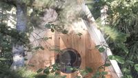 Bikin Penasaran, Ini Rumah Burung atau Manusia?
