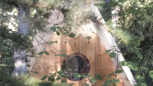 Bikin Penasaran, Ini Rumah Burung atau Manusia?