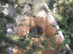 Bikin Penasaran, Ini Rumah Burung atau Manusia?