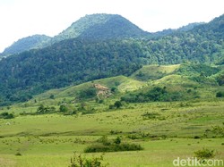 Serasa di Selandia Baru, Padahal Ini di Luwuk