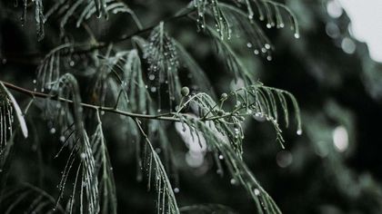 Few drops water in november rains