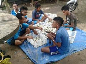 Rombak Sistem, Agis Tingkatkan Pendapatan Petani Rp 300 Ribu/Hari