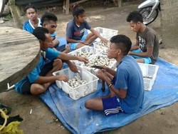 Rombak Sistem, Agis Tingkatkan Pendapatan Petani Rp 300 Ribu/Hari