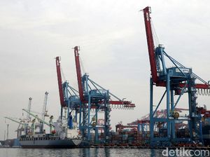 Selain Swiss, Muliaman Akan Tingkatkan Ekspor RI ke 3 Negara Ini Selain Swiss, Muliaman Akan Tingkatkan Ekspor RI ke 3 Negara Ini