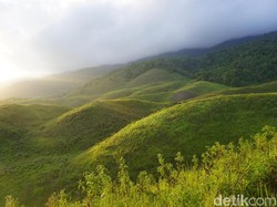 Tak Kalah dengan Bromo, Bukit Teletubbies Juga Ada di Luwuk