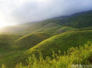 Tak Kalah dengan Bromo, Bukit Teletubbies Juga Ada di Luwuk Tak Kalah dengan Bromo, Bukit Teletubbies Juga Ada di Luwuk