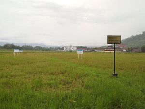 Pemkab Trenggalek Bangun Pertanian Terpadu Senilai Rp 2,6 Miliar