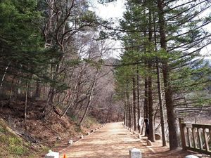 Ingat Serial Goblin, Ini Foto Lokasinya Sekarang Ingat Serial Goblin, Ini Foto Lokasinya Sekarang