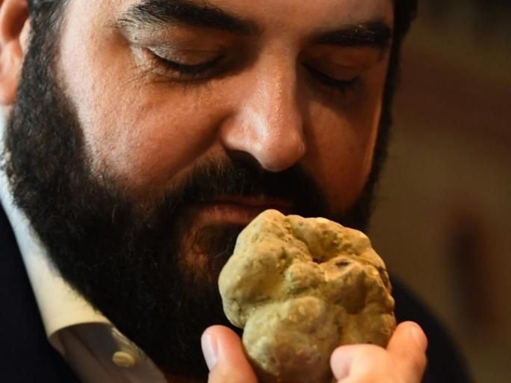 Pria Asal Hong Kong Ini Berhasil Beli Jamur Truffle Putih Seharga Rp 1,2 Miliar Pria Asal Hong Kong Ini Berhasil Beli Jamur Truffle Putih Seharga Rp 1,2 Miliar