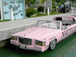 Keren! Ada Limosin yang Bisa Berlayar di Laut!