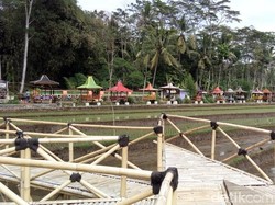 Berkunjung ke Desa dengan Deretan Gazebo Cantik di Semarang