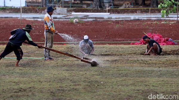 Rumput Lapangan Banteng Dibikin Lebih Hijau