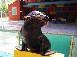 Ajak Si Kecil Lihat Biota Laut di Sini, Ada Promo Buy 1 Get 1