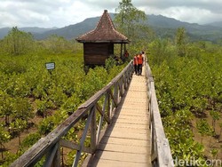 Pemkab Trenggalek Siapkan Kerjasama Pengelolaan Wisata Perhutani