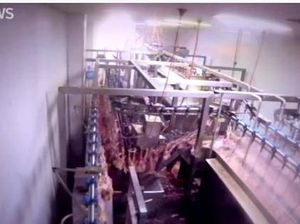 RPH di Melbourne Rebus Ayam Hidup-hidup