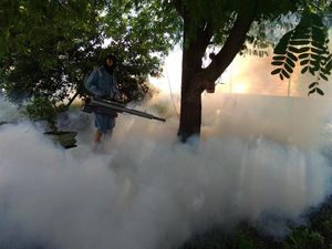 100 Kasus Demam Berdarah di 2017, Lhokseumawe Di-fogging 100 Kasus Demam Berdarah di 2017, Lhokseumawe Di-fogging