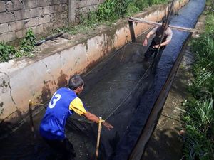 Kreatif! Selokan di Palembang Disulap untuk Ternak Ikan